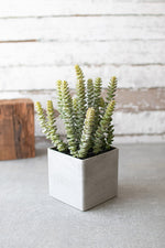 Kalalou CYF1288 Square Potted Artificial Succulent