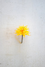 Kalalou CYF1316 Artificial Succulent - Yellow