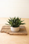 Kalalou CYF1318 Artificial Plant In A Pot