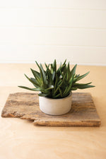 Kalalou CYF1318 Artificial Plant In A Pot
