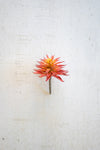 Kalalou CYF1328 Artificial Succulent Stem - Red