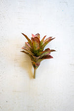 Kalalou CYF1340 13 In Artificial Succulent Stem