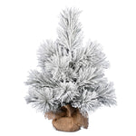 Vickerman  24" Frosted Beckett Pine Artificial Christmas Tree Unlit