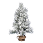 Vickerman  36" Frosted Beacon Pine Artificial Christmas Tree Unlit