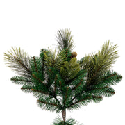 Vickerman  9' x 74