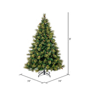 Vickerman  9' x 74