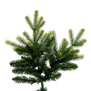 Vickerman  9' x 64