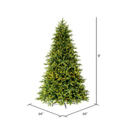 Vickerman  9' x 64