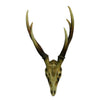 Enticing Polyresin Skeleton Benzara