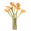 Vickerman F11085 24" Artificial Natural Touch Peach Calla Lilys