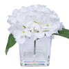 Vickerman F210911 8" Artificial White Hydrangea in Glass Cube, 3 Piece Set