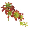 Vickerman FA170101 7" Atropurpureum Stem-Burgundy & Green, Set of 3