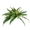 Vickerman FA188601 23" Artificial Green Fern Bush