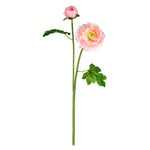 Vickerman FA191219 19" Artificial Light Pink Ranunculus Stem, 6 per Bag