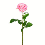 Vickerman FA191319 26" Artificial Pale Pink Rose Stem, 6 per Bag