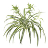 Vickerman FB170101-2 24" Artificial Green Spider Plant, Pack of 2