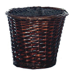 Vickerman TEX0160 6' Ficus Executive Tree in Rattan Basket