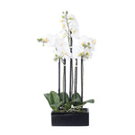 Vickerman FC170602 21" Artificial White Potted Orchid
