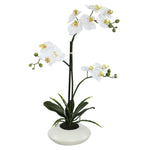 Vickerman FC170701 25" Artificial White Orchid