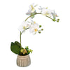 Vickerman FC180501 18" Artificial White Orchid in Ceramic Pot