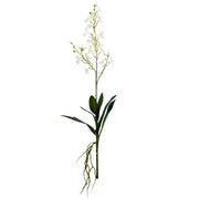 Vickerman FC180711 30