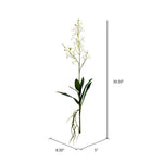 Vickerman FC180711 30