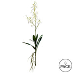 Vickerman FC180711 30