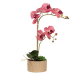 Vickerman FC190265 18" Artificial Mauve Phalaenopsis Orchid & Succulent Arrangement