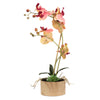 Vickerman FC190266 18" Artificial Pink & Orange Phalaenopsis Orchid & Succulent Arrangement