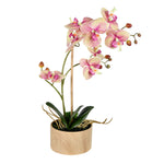 Vickerman FC190279 18" Artificial Lavendar & Yellow Phalaenopsis Orchid & Succulent Arrangement