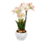 Vickerman FC190379 25" Artificial Pink Amaryllis Floral Arrangement