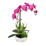 Vickerman FC190870 17" Artificial Potted Lavender Orchid