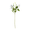 Vickerman FD180411 25" Artificial White Clematis Stem, 6 per Bag