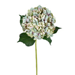 Vickerman FD190404 33" Artificial Green Hydrangea Spray, Pack of 2