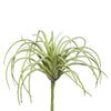 Vickerman FE171801-6 5" Artificial Green Tillandsia Pick, 6 per Bag