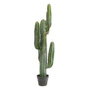 Vickerman FE180201 45