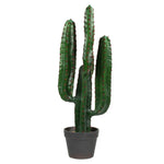 Vickerman FE180301 27" Artificial Green Finger Cactus in Gray & Light Red Pot