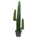 Vickerman FE180401 49" Artificial Cactus in Gray & Light Red Pot