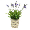 Vickerman FE181301 16.5" Artificial Lavender in Round Paper Pot