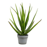 Vickerman FE181401 23" Artificial Green Aloe in Round Gray Pot