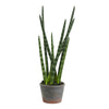 Vickerman FE181801 17" Artificial Green Tiger Tail Plant in Paper Pot