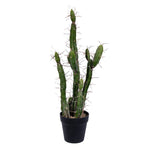 Vickerman FE191124 24" Artificial Green Cactus In Black Plastic Planters Pot