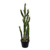 Vickerman FE191134 34" Artificial Green Cactus In Black Plastic Planters Pot
