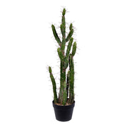 Vickerman FE191134 34