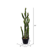 Vickerman FE191134 34