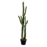 Vickerman FE191146 46" Artificial Green Cactus In Black Plastic Planters Pot