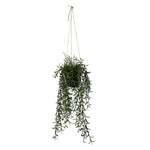 Vickerman FE191422 22" Artificial Green Plastic Grass in a Hanging Pot