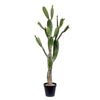 Vickerman FE191457 57" Artificial Green Cactus In Black Plastic Planters Pot
