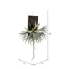 Vickerman FE191626 26" Artificial Staghorn Fern on Wooden Plaque