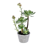 Vickerman FE192013 13.5" Artificial Green Succulent, Paper Pot